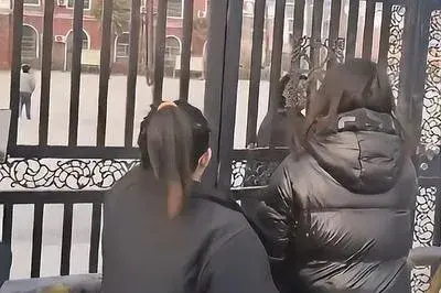 河南通报小学拖欠教师工资无人上课